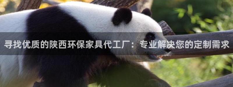 沐鸣2平台代理怎么赚钱快