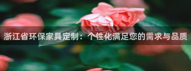 沐鸣2平台注册问一问：浙江省环保家具定制：个性化满足您的需求