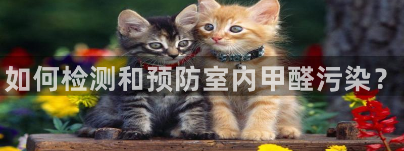 沐鸣2平台官方网站