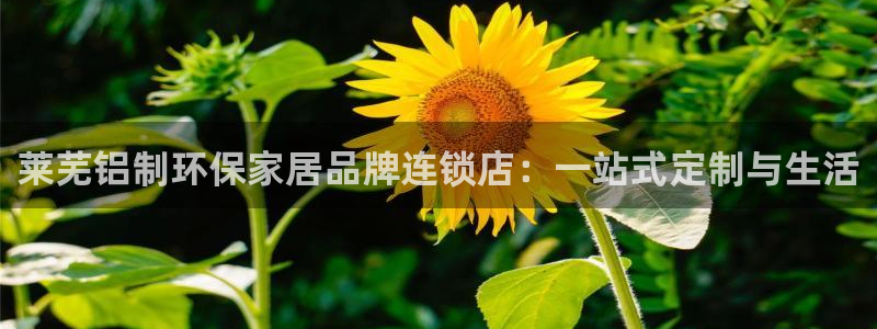 沐鸣2代理主管qq