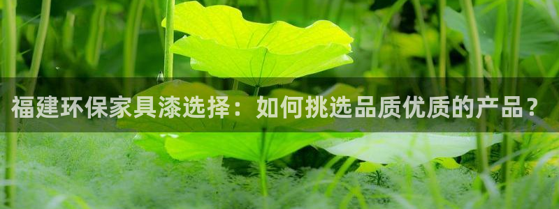 沐鸣2平台网页版：福建环保家具漆选择：如何挑选品质优质的产品