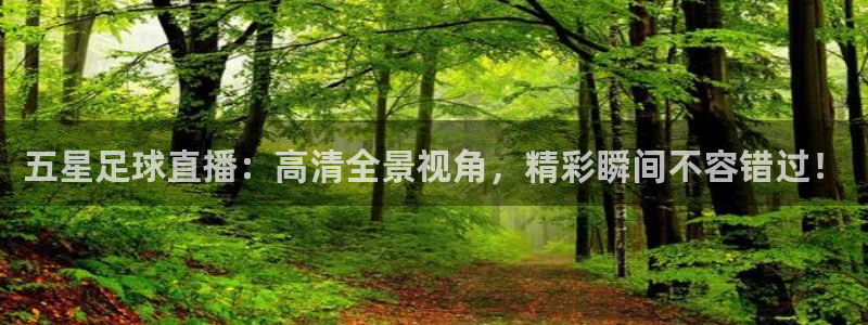 咪咕体育免费直播：五星足球直播：高清全景视角，精彩瞬间不容错过！