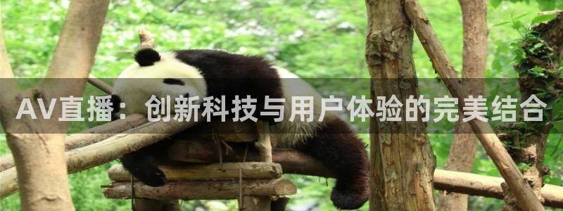 咪咕视频安装下载：AV直播：创新科技与用户体验的完美结合