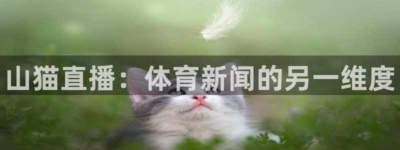 咪咕视频体育直播app下载：山猫直播：体育新闻的另一维度