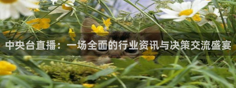 咪咕视频安装包下载：中央台直播：一场全面的行业资讯与决策交流盛宴